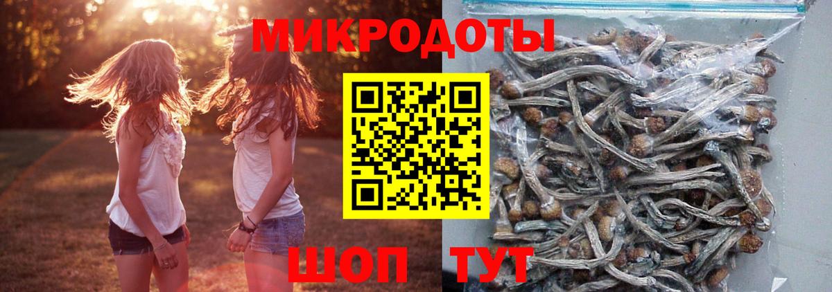 Псилоцибиновые грибы Magic Shrooms Коммунар